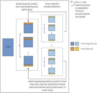 Structural gray matter features and behavioral preliterate skills predict future literacy – A machine learning approach